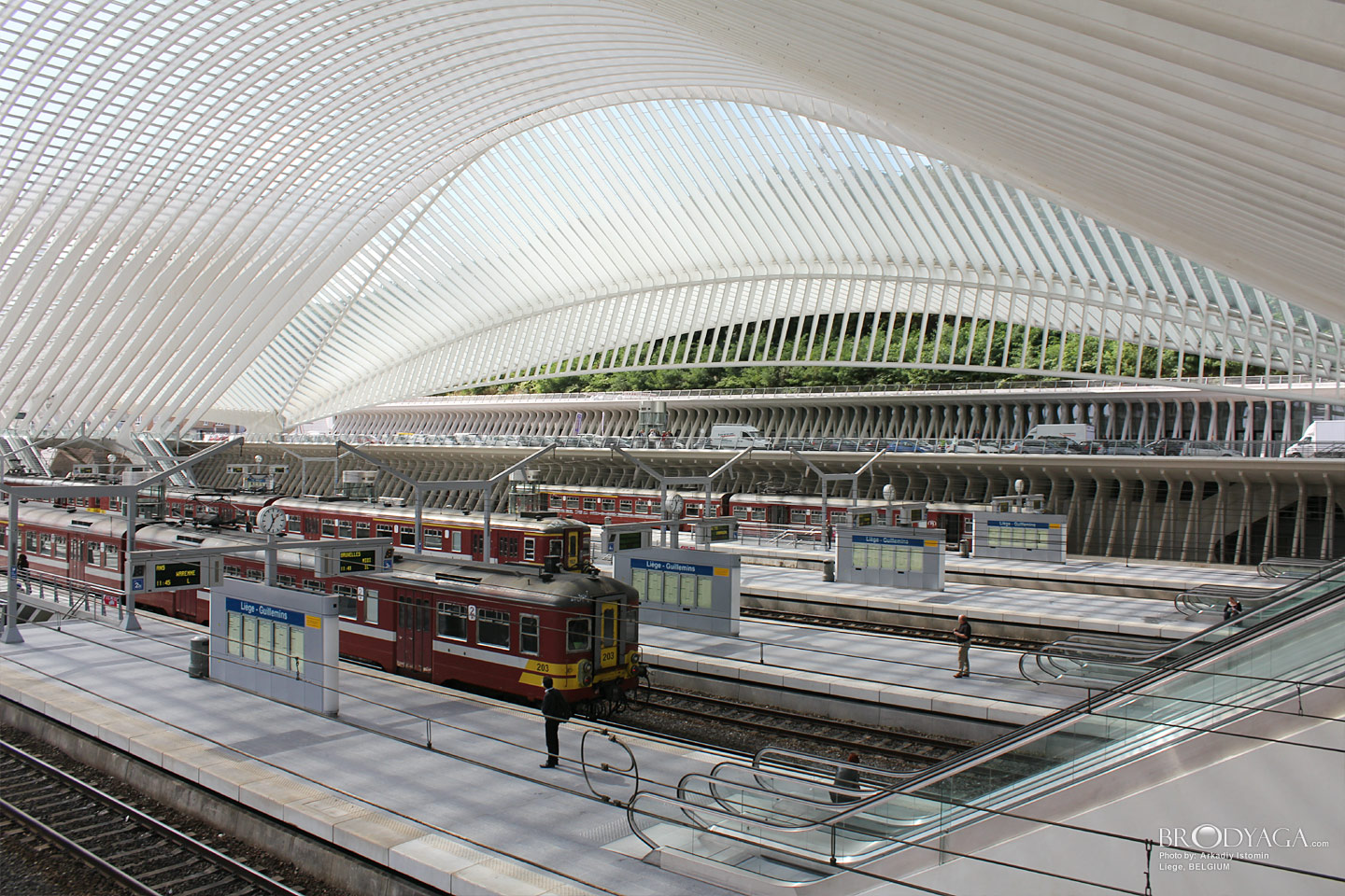 Liege
